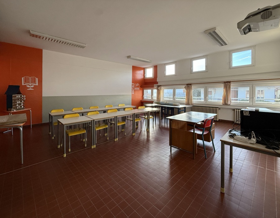 Isocolor fiesso d artico 10