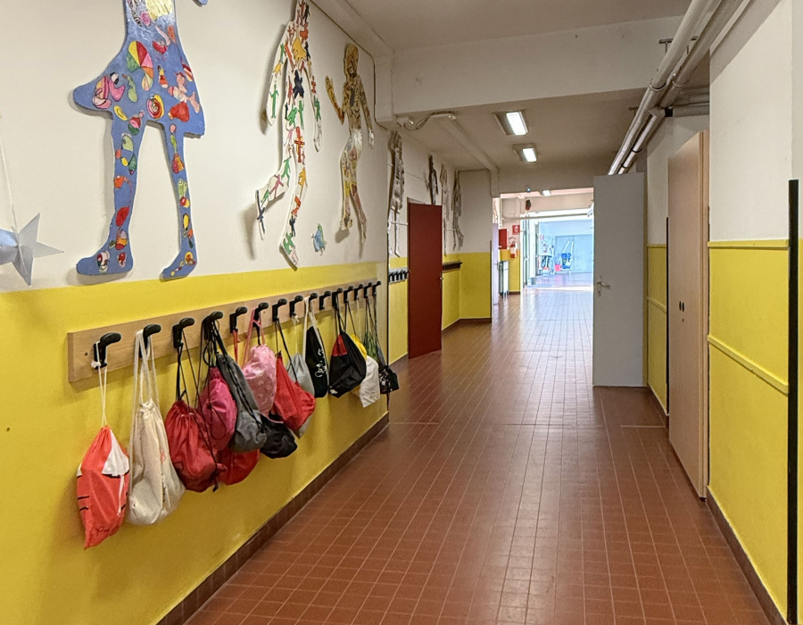 Isocolor fiesso d artico 15